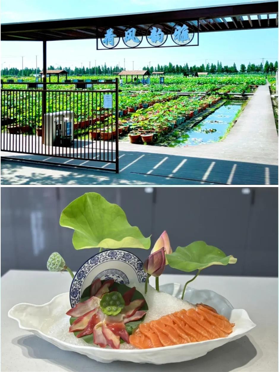 踏春正当时!55条上海乡村春游季推荐线路新鲜出炉