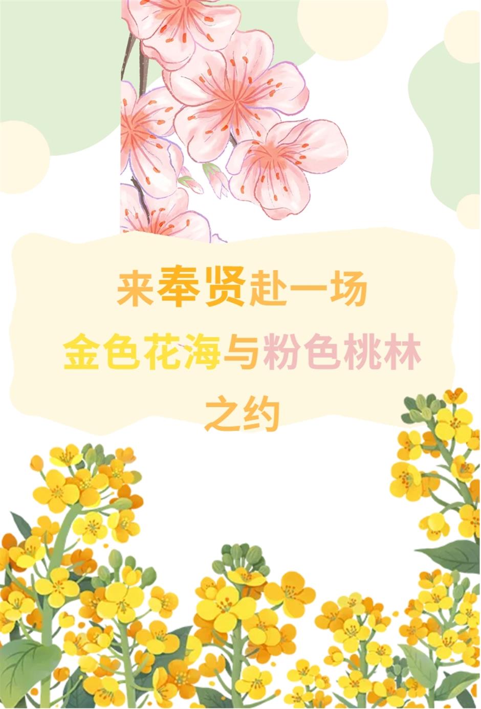 两天一夜古镇游,赴一场