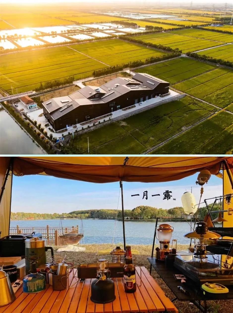 踏春正当时!55条上海乡村春游季推荐线路新鲜出炉