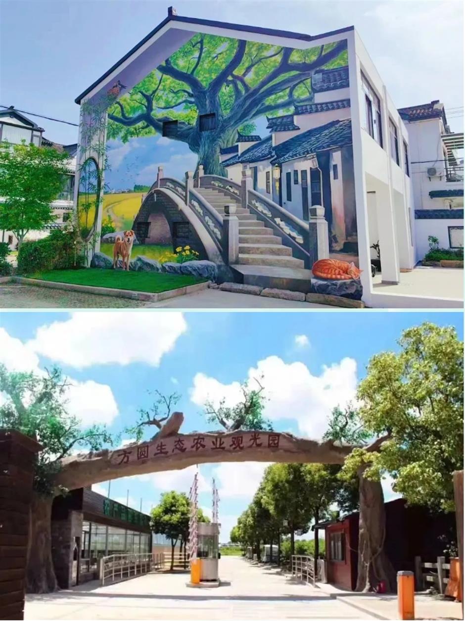 踏春正当时!55条上海乡村春游季推荐线路新鲜出炉