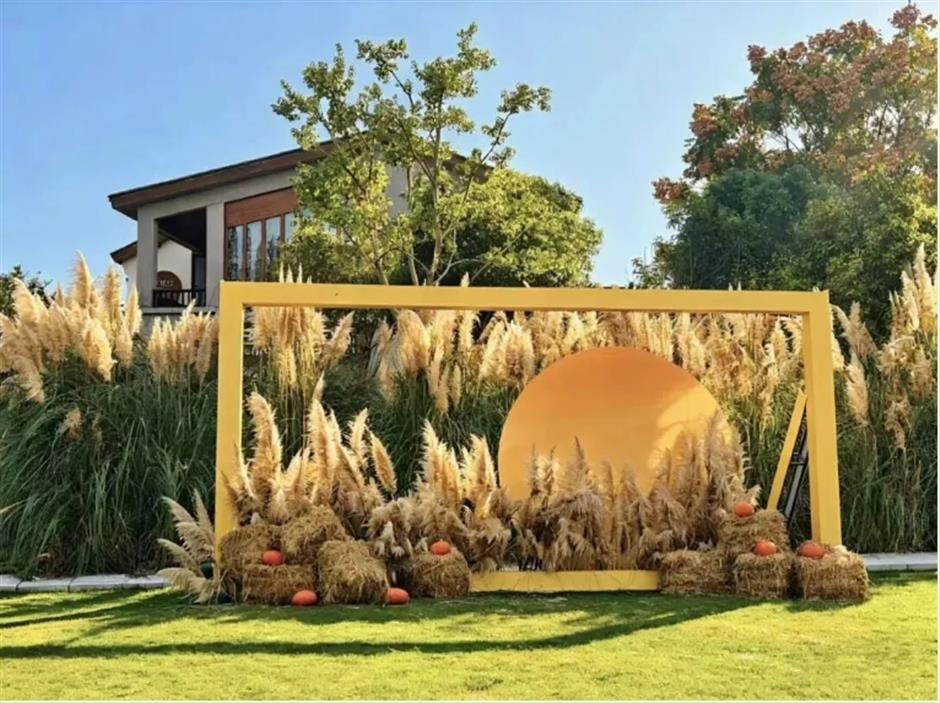 两天一夜古镇游,赴一场