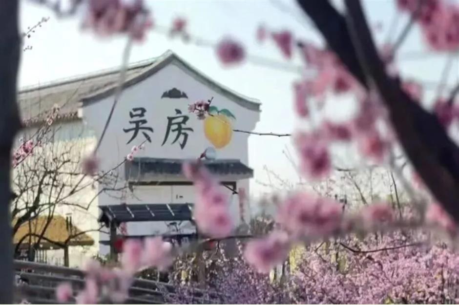 两天一夜古镇游,赴一场