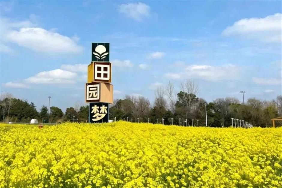 踏春正当时!55条上海乡村春游季推荐线路新鲜出炉