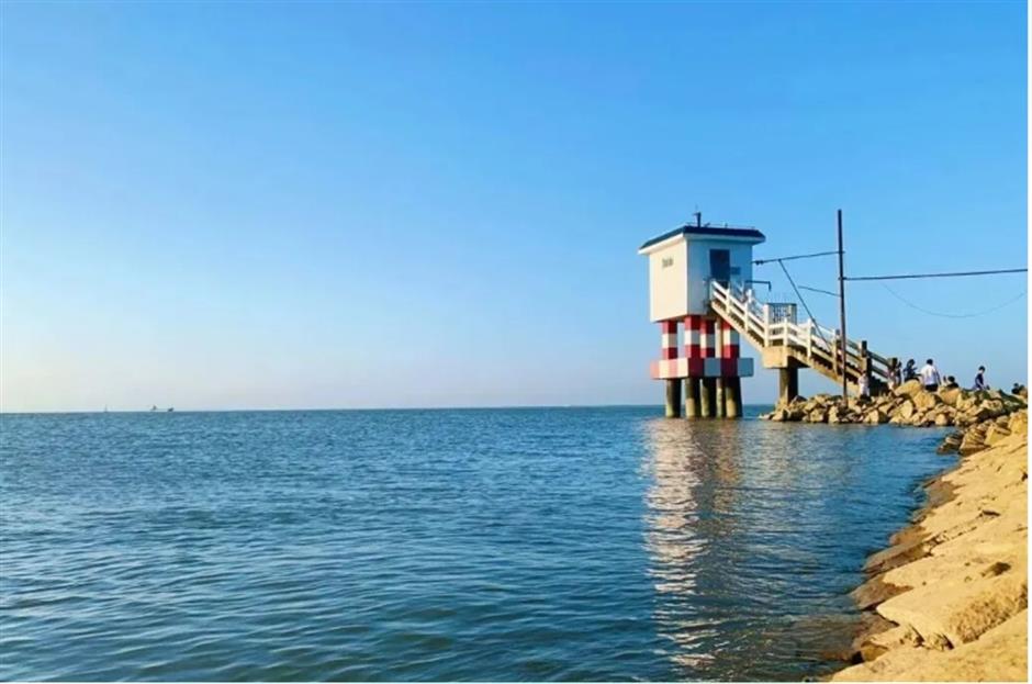 踏春正当时!55条上海乡村春游季推荐线路新鲜出炉