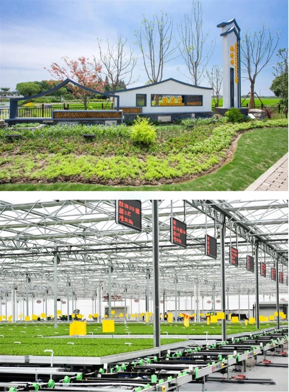 踏春正当时!55条上海乡村春游季推荐线路新鲜出炉