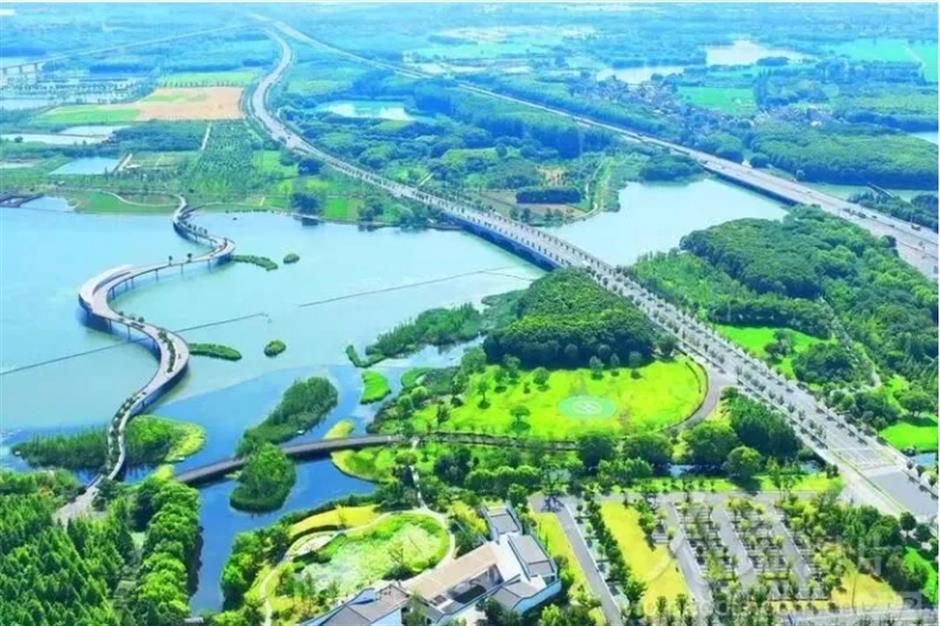 踏春正当时!55条上海乡村春游季推荐线路新鲜出炉