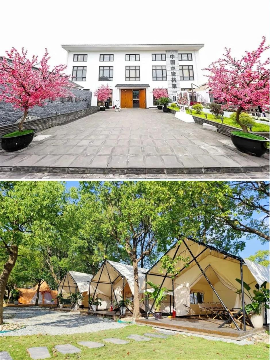 踏春正当时!55条上海乡村春游季推荐线路新鲜出炉