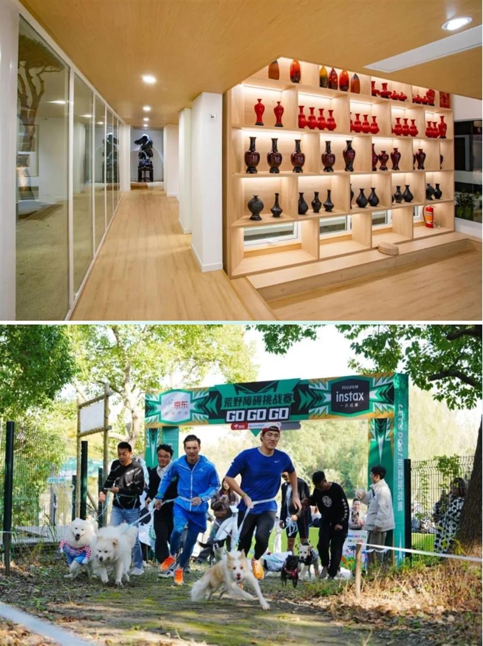 踏春正当时!55条上海乡村春游季推荐线路新鲜出炉