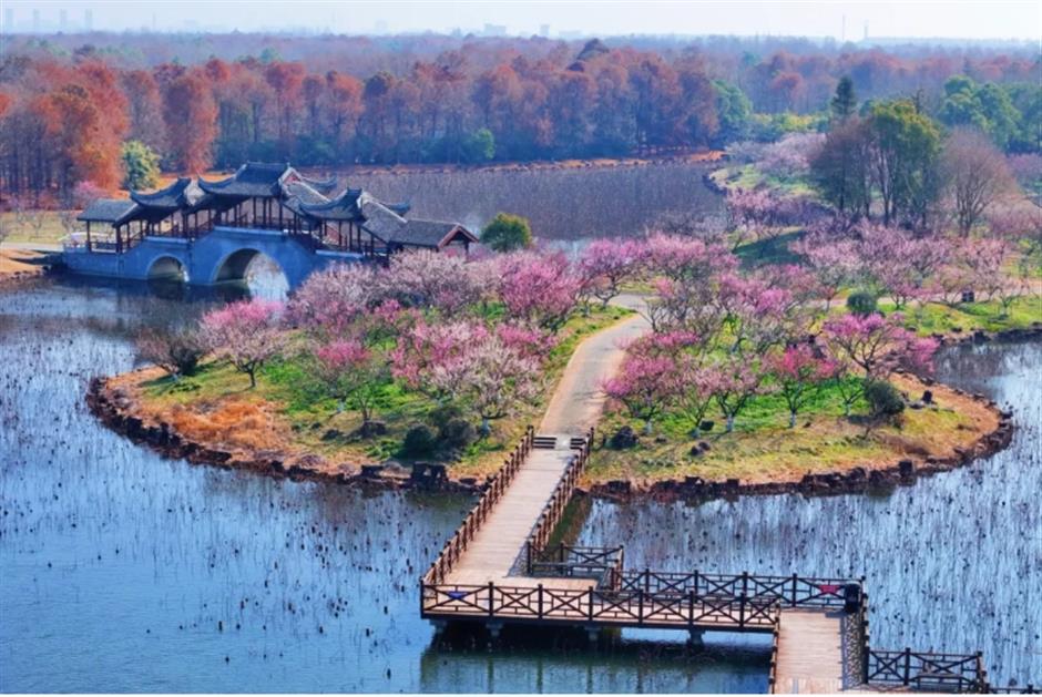 踏春正当时!55条上海乡村春游季推荐线路新鲜出炉