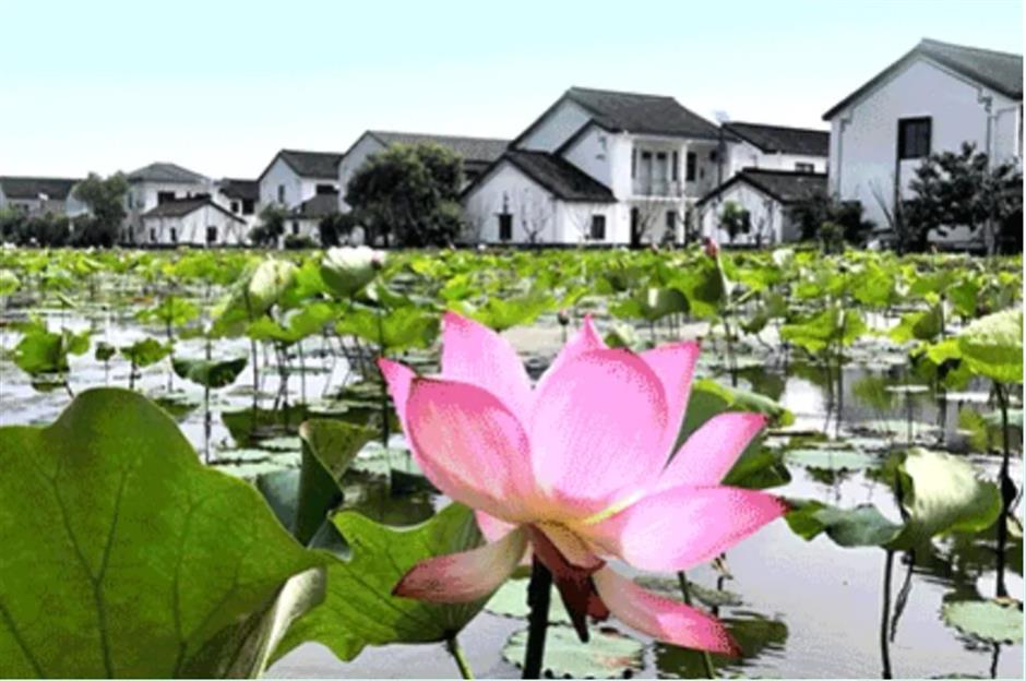 踏春正当时!55条上海乡村春游季推荐线路新鲜出炉