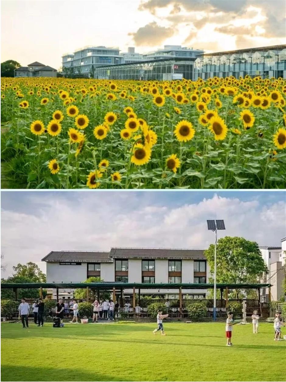 踏春正当时!55条上海乡村春游季推荐线路新鲜出炉