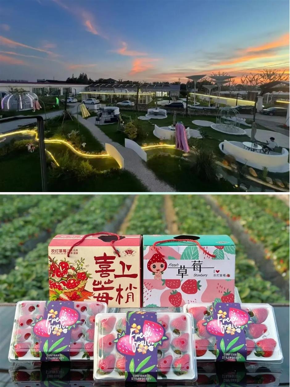 踏春正当时!55条上海乡村春游季推荐线路新鲜出炉