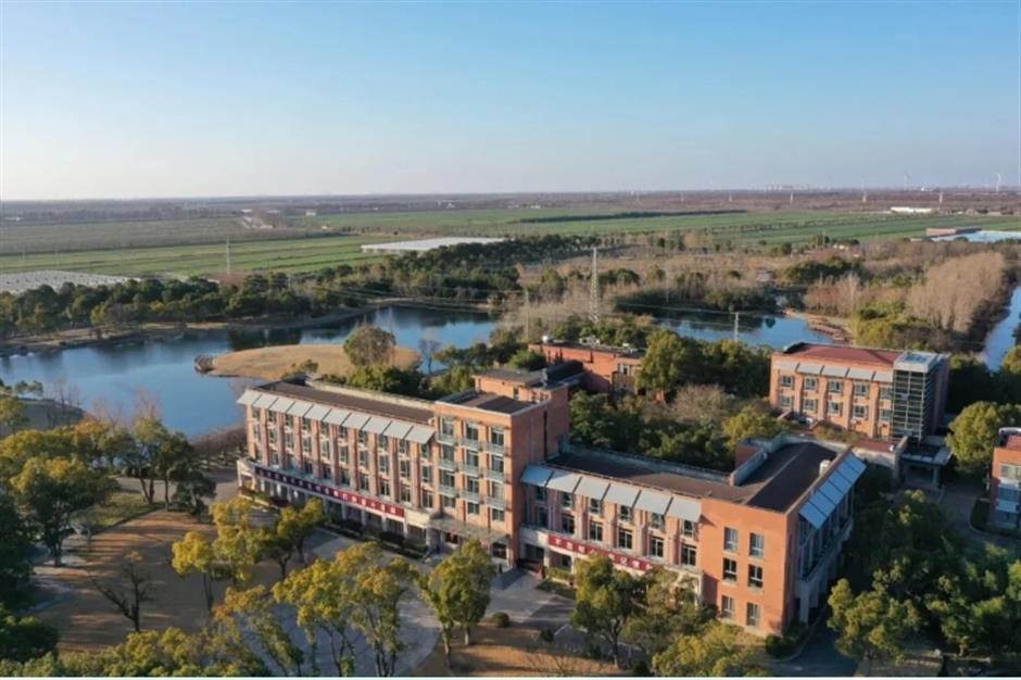 踏春正当时!55条上海乡村春游季推荐线路新鲜出炉