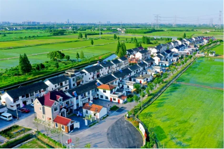 踏春正当时!55条上海乡村春游季推荐线路新鲜出炉