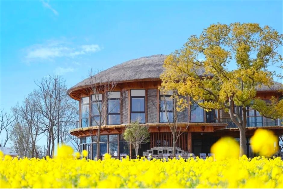 踏春正当时!55条上海乡村春游季推荐线路新鲜出炉