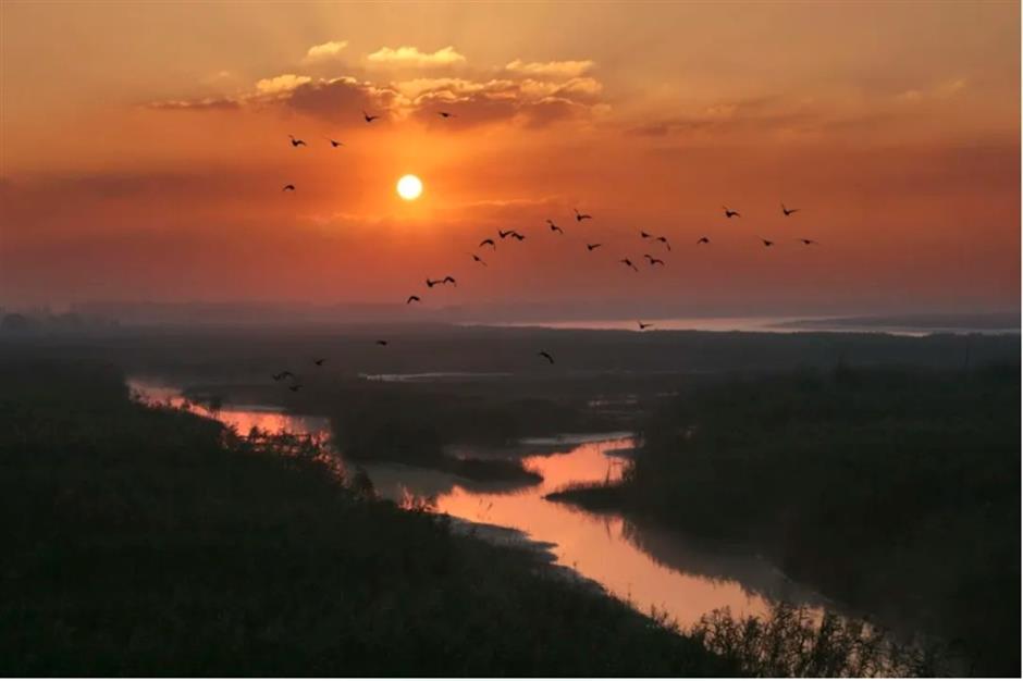 踏春正当时!55条上海乡村春游季推荐线路新鲜出炉
