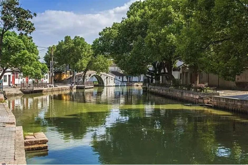 踏春正当时!55条上海乡村春游季推荐线路新鲜出炉