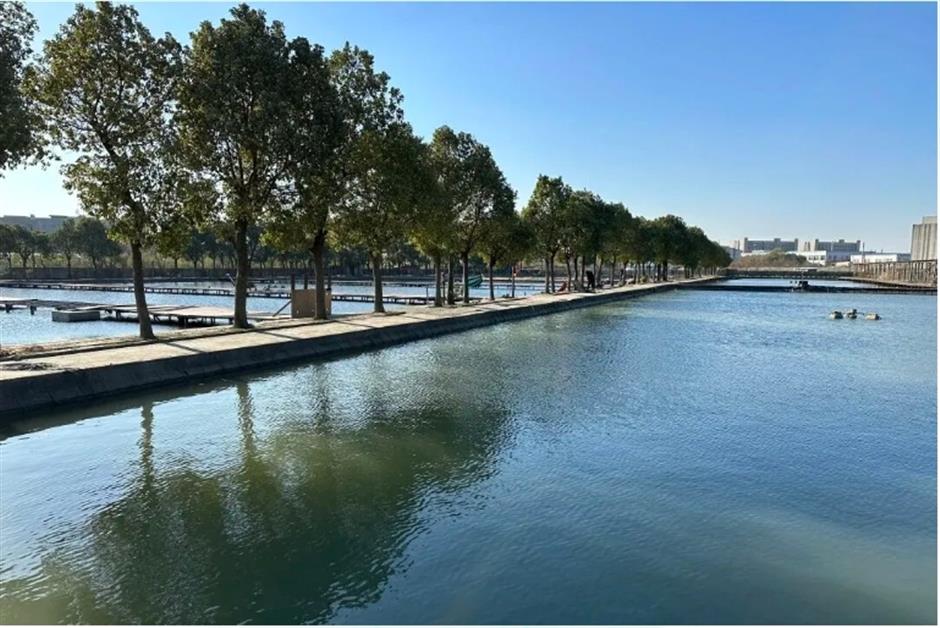 踏春正当时!55条上海乡村春游季推荐线路新鲜出炉