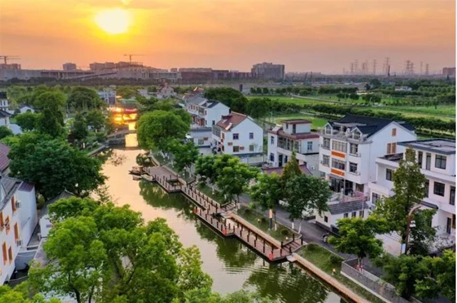 踏春正当时!55条上海乡村春游季推荐线路新鲜出炉