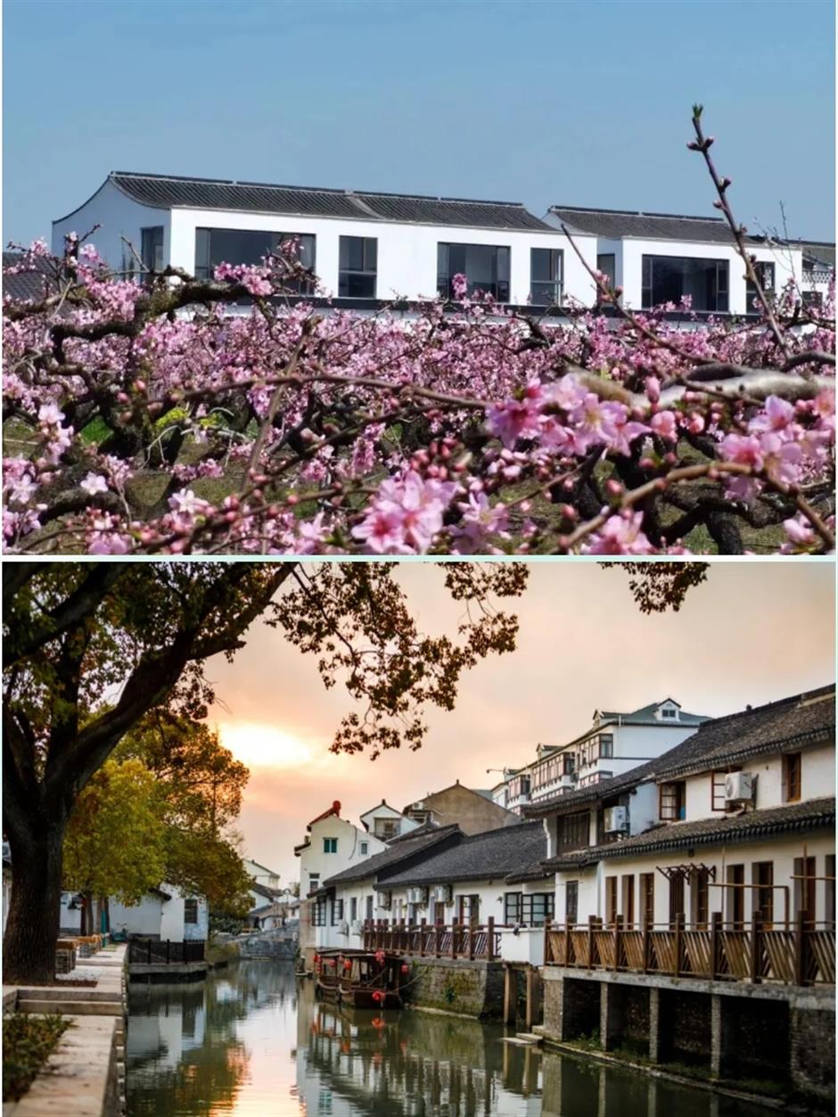 踏春正当时!55条上海乡村春游季推荐线路新鲜出炉