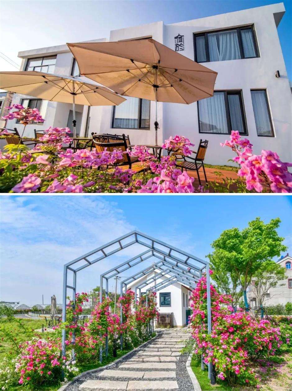 踏春正当时!55条上海乡村春游季推荐线路新鲜出炉