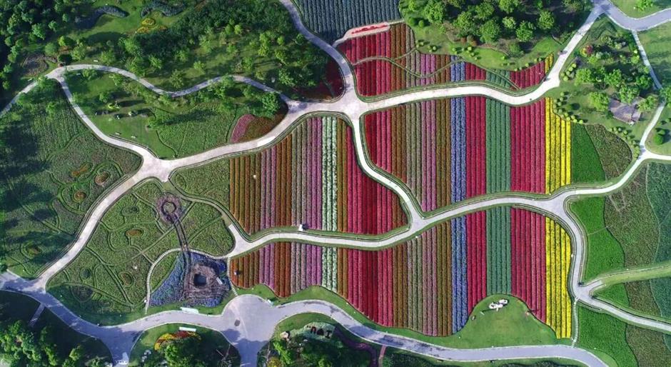 2026上海桃花节定档,最全玩法提前剧透→