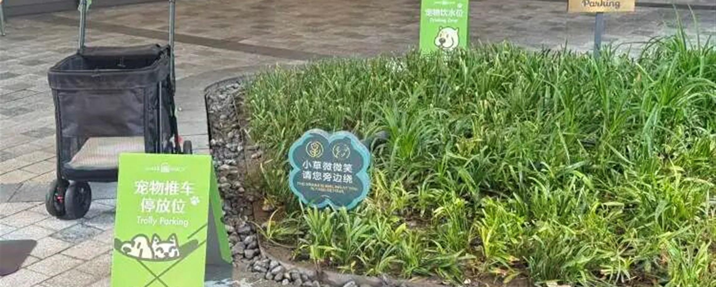 Shanghai Malls Roll Back Pet-Friendly Policies Amid New Regulations