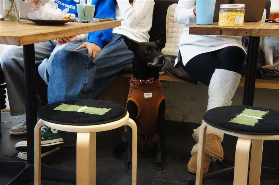 [Caffeinated] 5 New Iconic Cafes That Are Booming