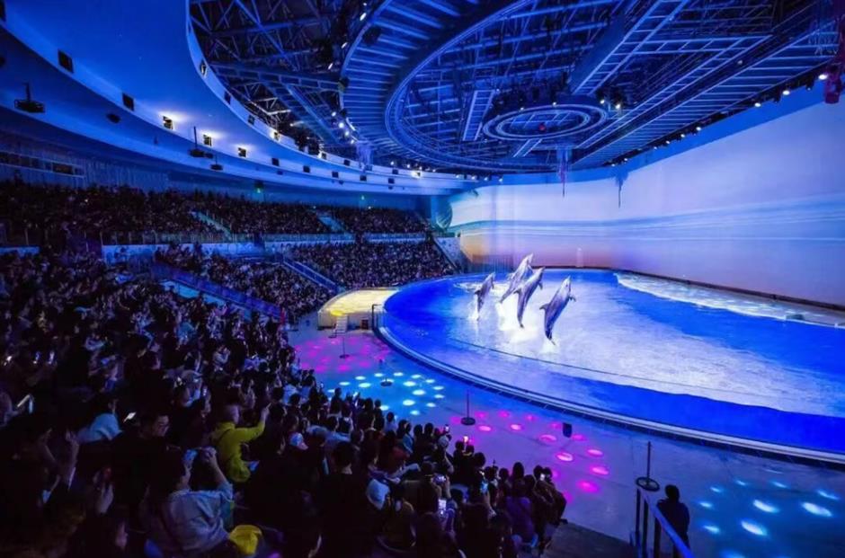 坐着地铁逛临港!16号线把花海、乐园、博物馆……全串起来啦