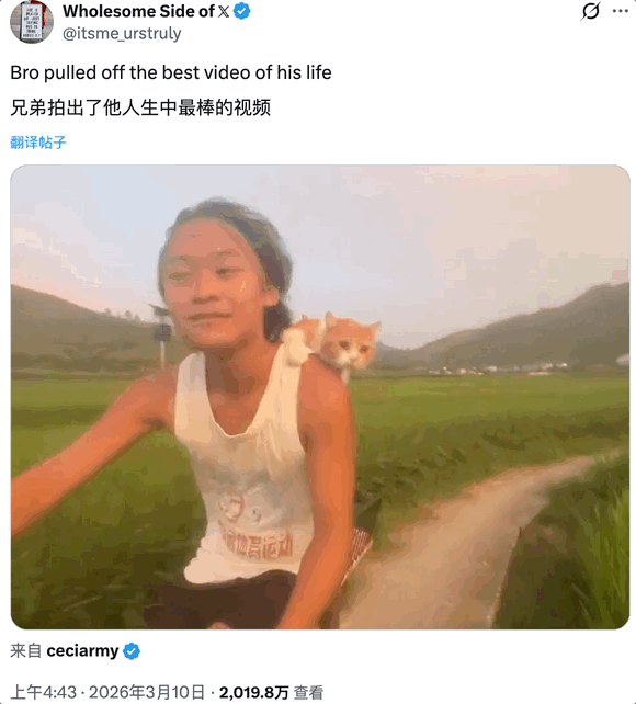From Rice Fields to Meme Coin: A Guangxi Villager's Viral Moment