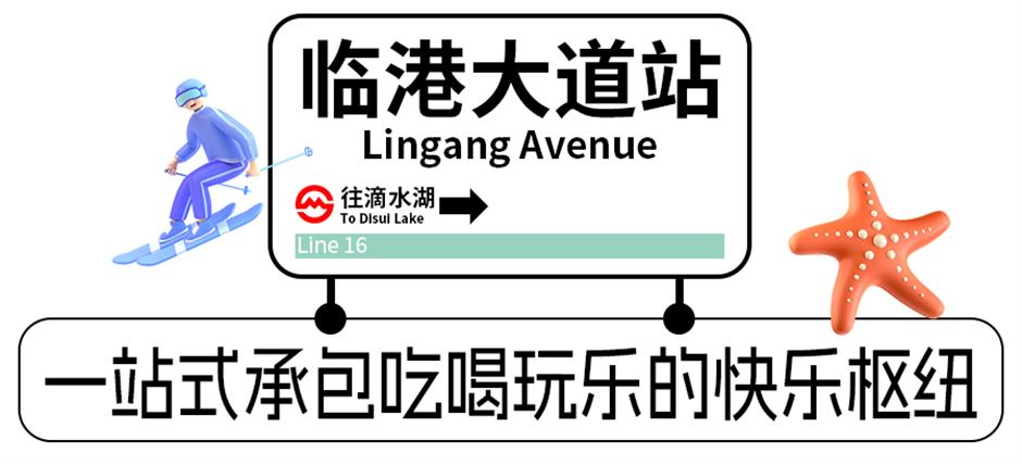 坐着地铁逛临港!16号线把花海、乐园、博物馆……全串起来啦