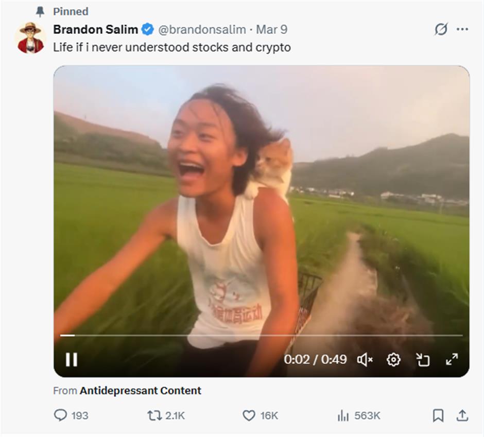 From Rice Fields to Meme Coin: A Guangxi Villager's Viral Moment