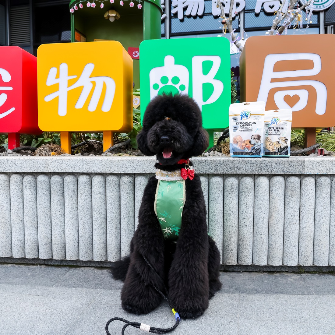 Shanghai's First Pet-Themed Post Office Opens