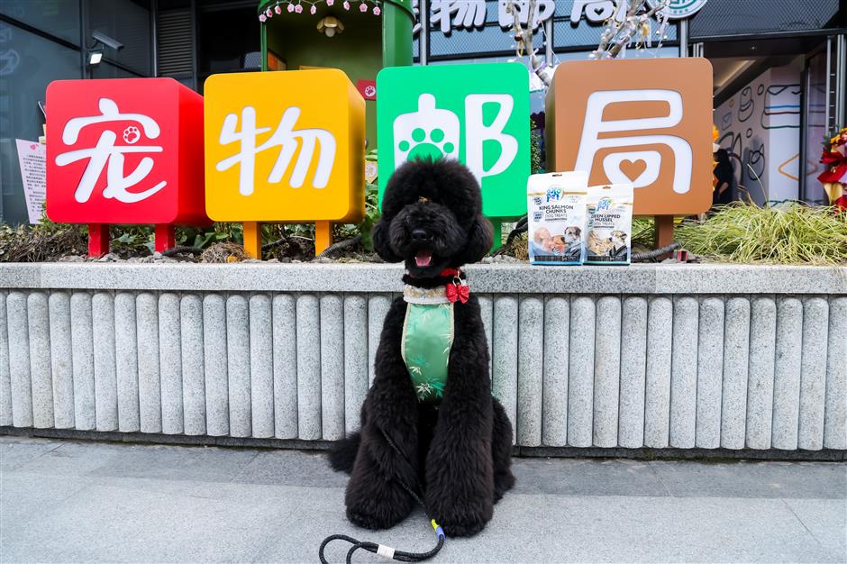 Shanghai's First Pet-Themed Post Office Opens