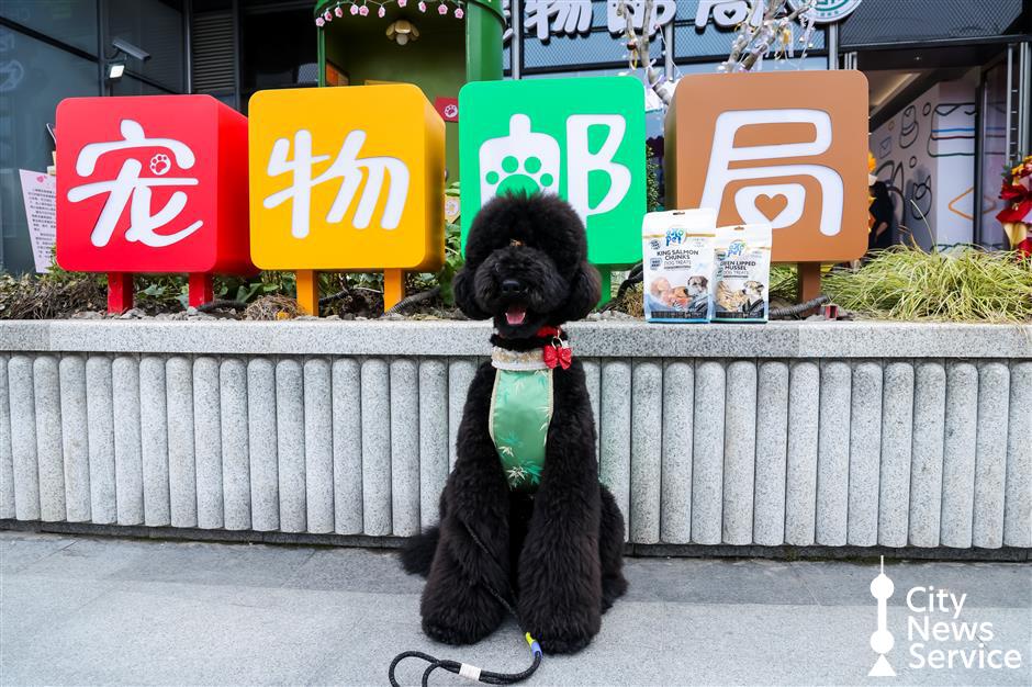 Shanghai's First Pet-Themed Post Office Opens