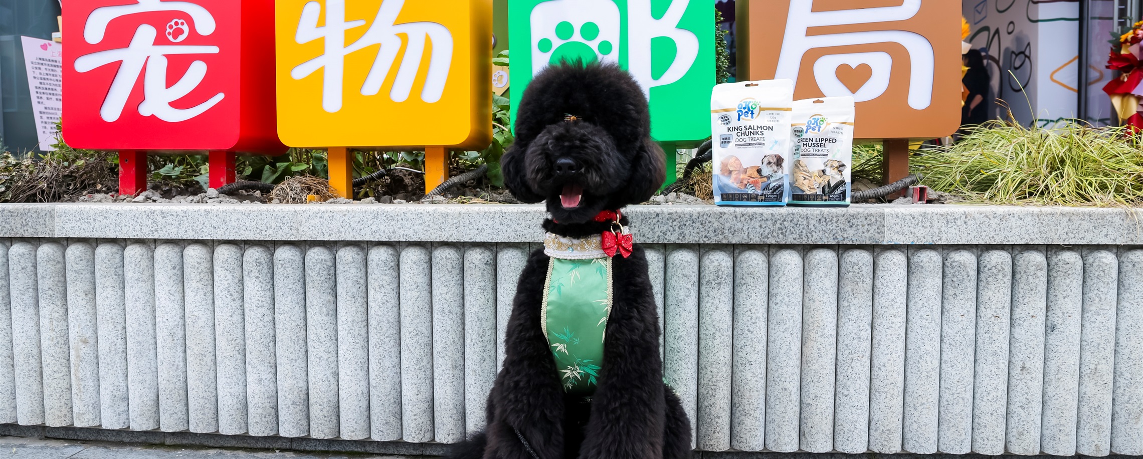 Shanghai's First Pet-Themed Post Office Opens