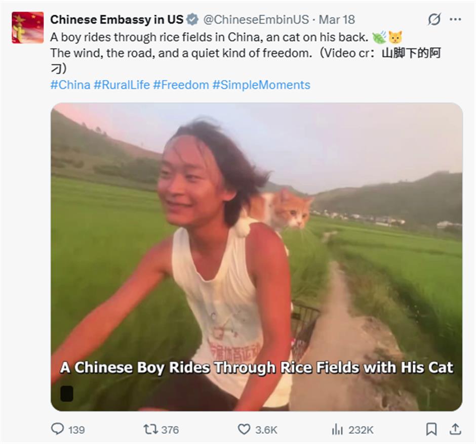 From Rice Fields to Meme Coin: A Guangxi Villager's Viral Moment