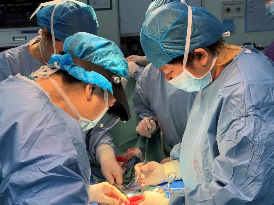 US Woman Advised Hysterectomy Keeps Fertility After Surgeons Remove 656 Fibroids in Shenzhen