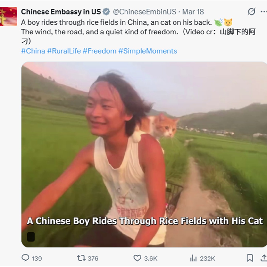 From Rice Fields to Meme Coin: A Guangxi Villager's Viral Moment