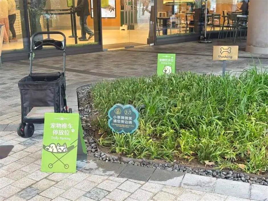 Shanghai Malls Roll Back Pet-Friendly Policies Amid New Regulations