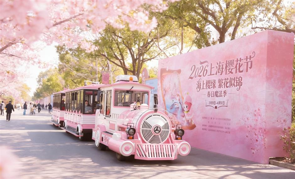 出发!坐上这些开往春天的小火车,在上海沉浸式赏春