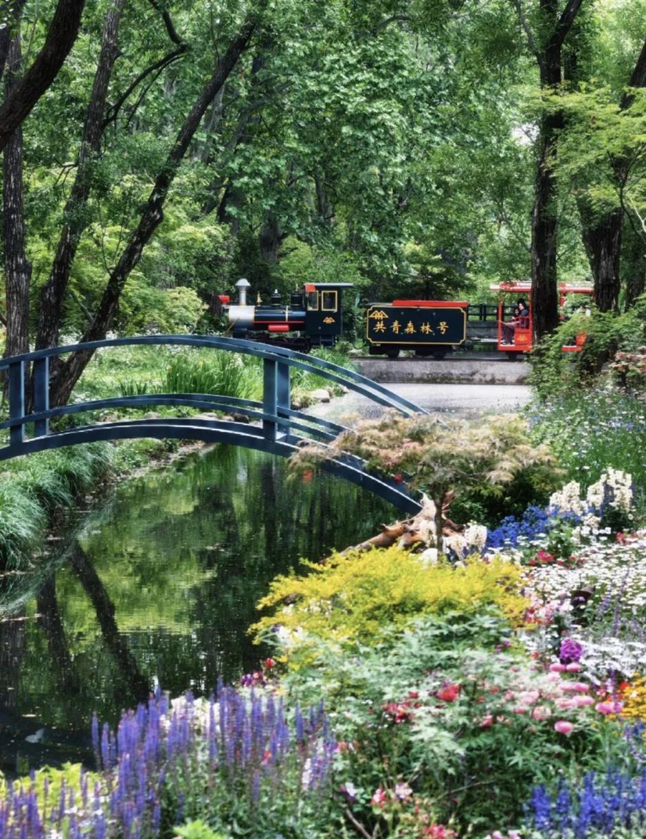 出发!坐上这些开往春天的小火车,在上海沉浸式赏春