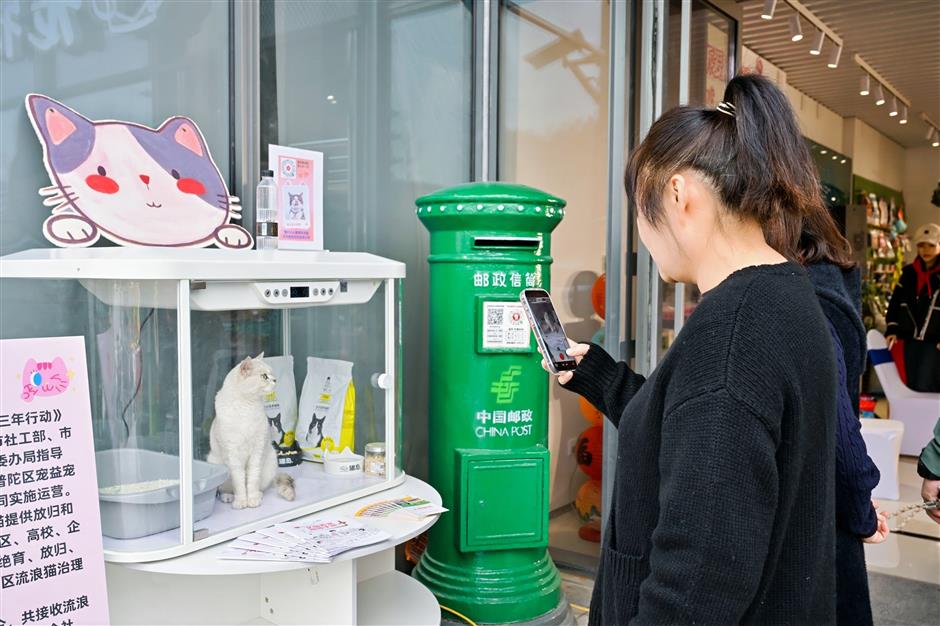 Shanghai's First Pet-Themed Post Office Opens