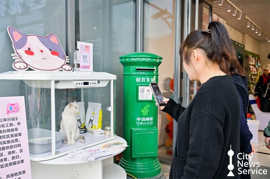 Shanghai's First Pet-Themed Post Office Opens