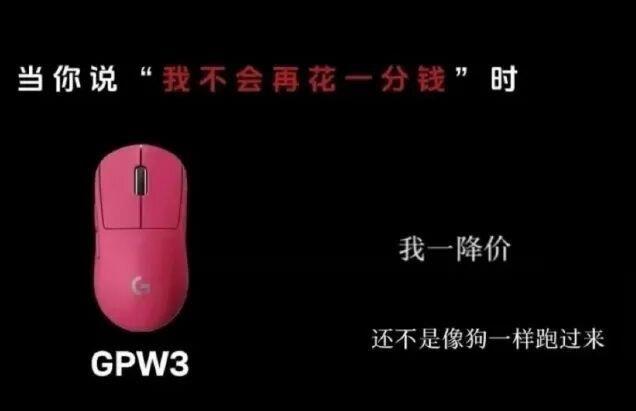 Logitech China Apologizes After Ad Calls Shoppers 'Dogs'