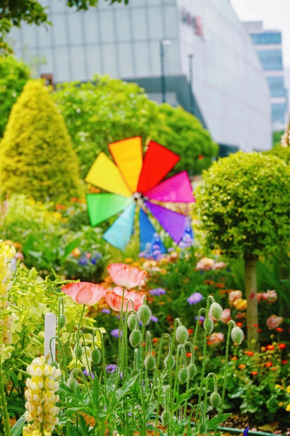 官宣!前滩群星演唱会定档,阵容揭晓→