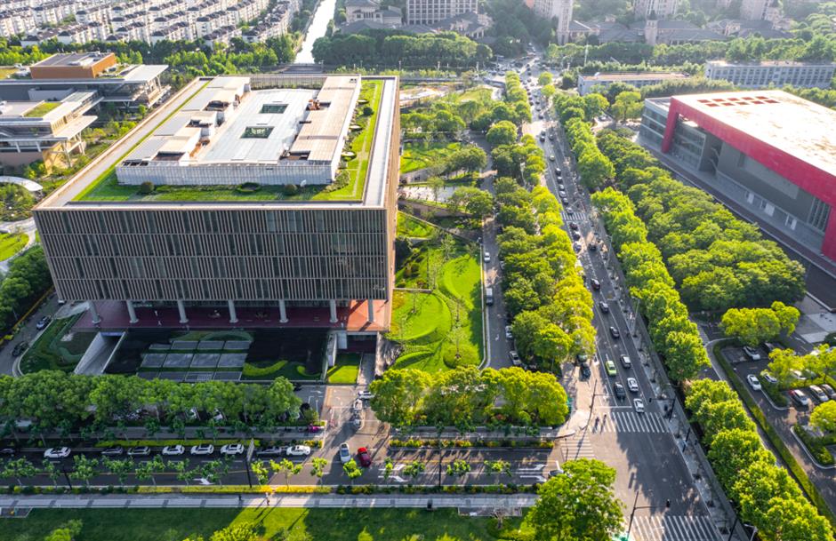 59000株郁金香+樱花小径!上海市区43万㎡免费公园人少景美!