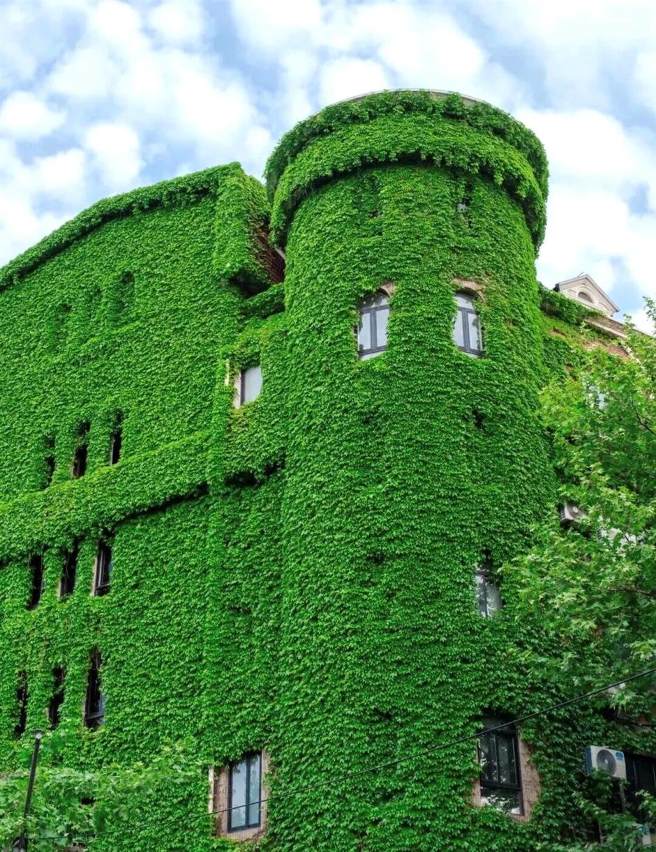 Color Walk爆火!上海这些色彩点位等你打卡