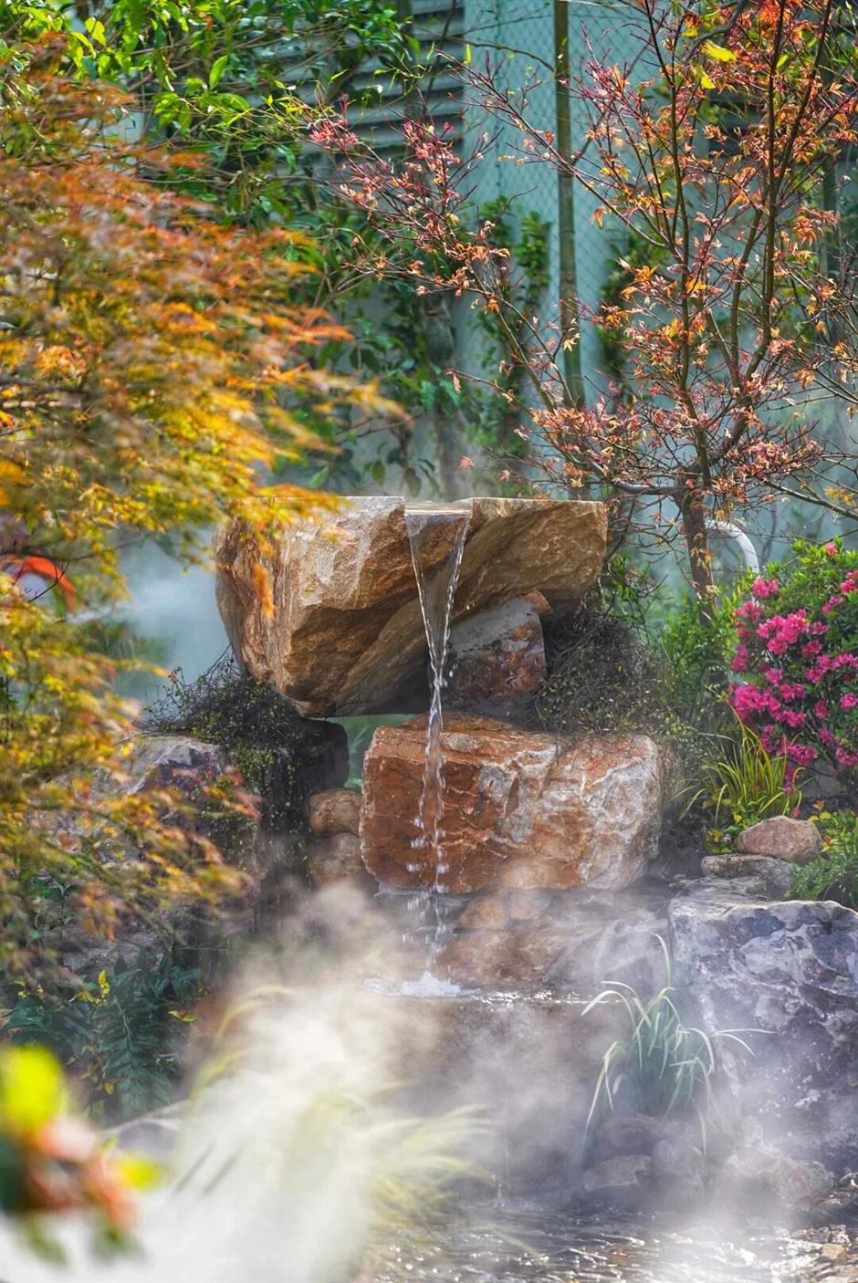 59000株郁金香+樱花小径!上海市区43万㎡免费公园人少景美!