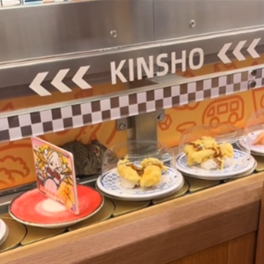 Kinshosushi Apologizes After Mouse Seen on Conveyor Belt
